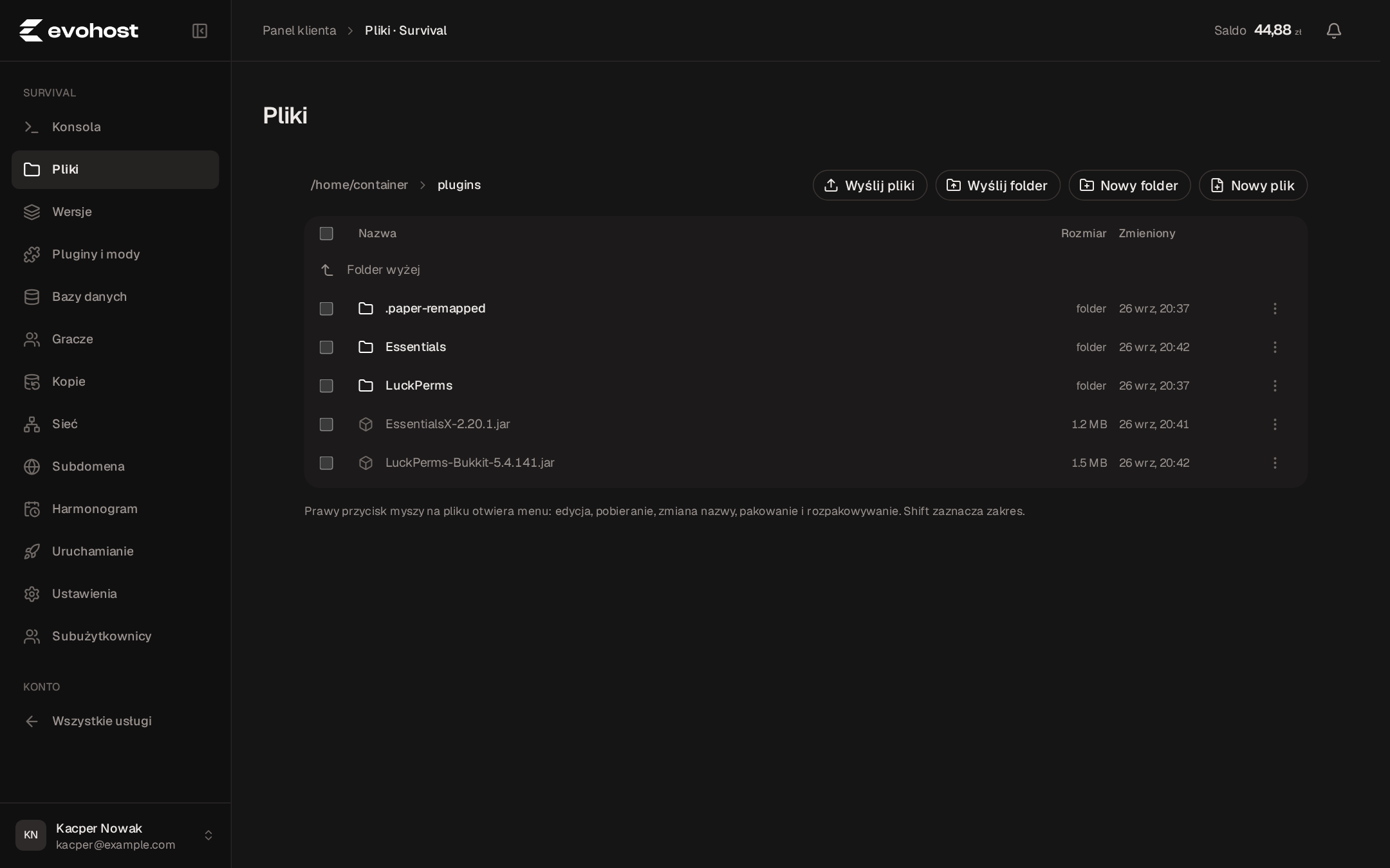 Folder plugins w menedżerze plików